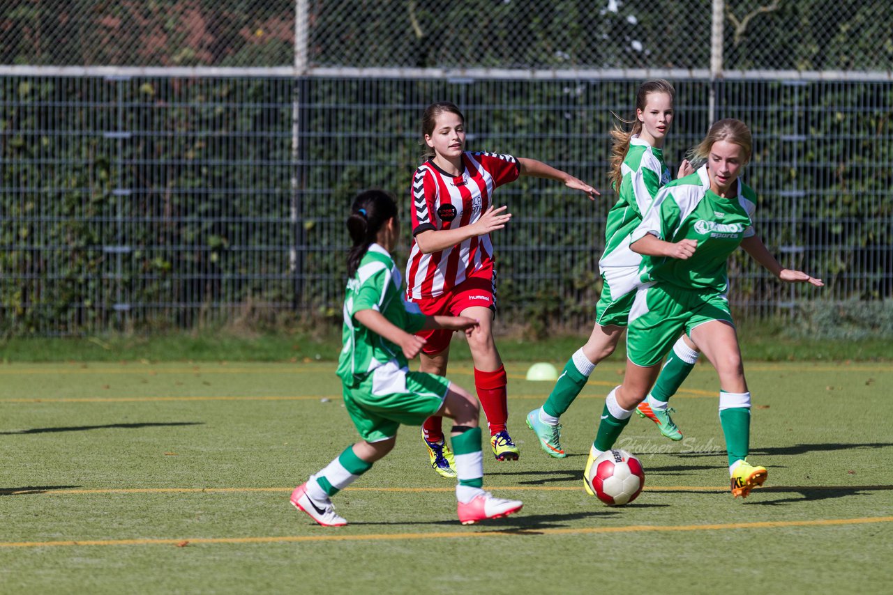 Bild 240 - C-Juniorinnen Kaltenkirchener TS - TuS Tensfeld : Ergebnis: 7:0